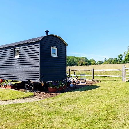 Crabden Shepherd Hut - Blendworth Villa Waterlooville Esterno foto