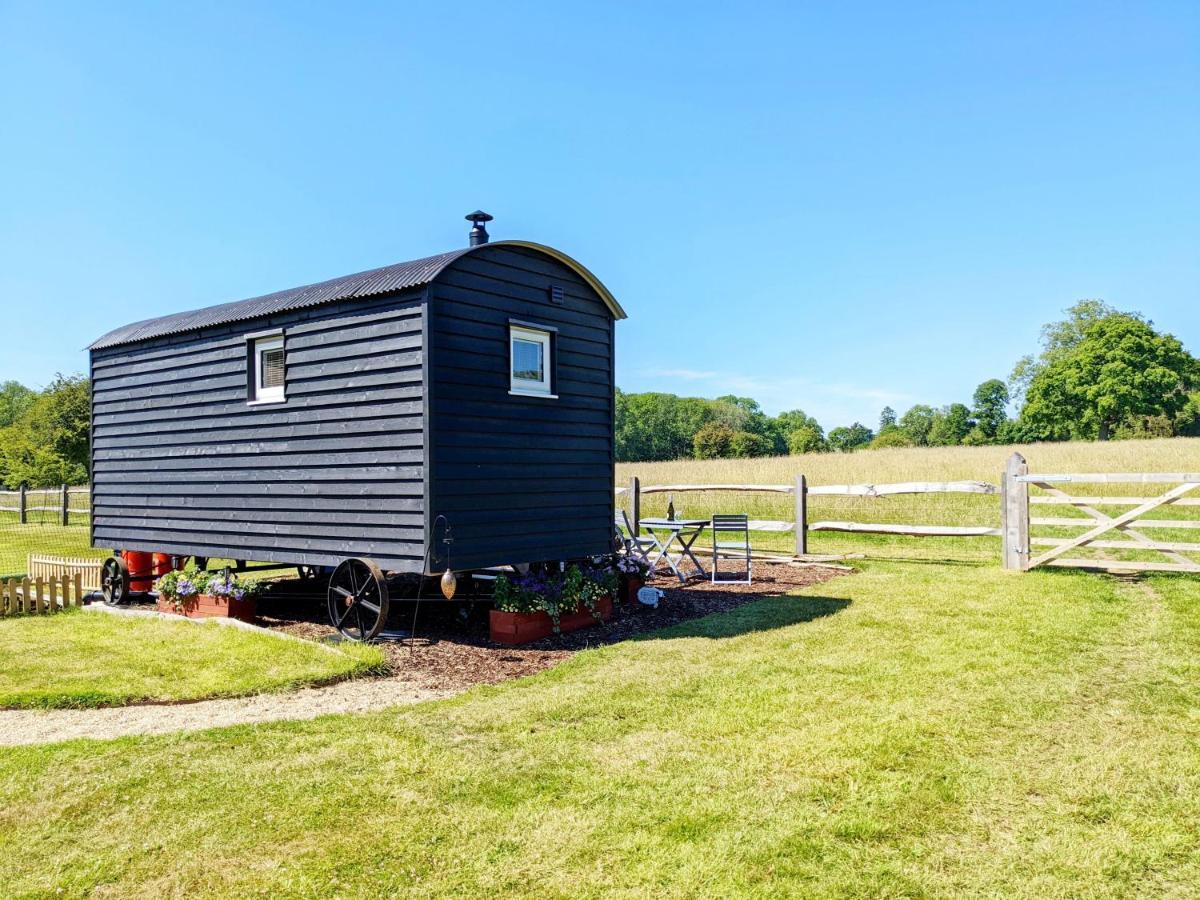 Crabden Shepherd Hut - Blendworth Villa Waterlooville Esterno foto