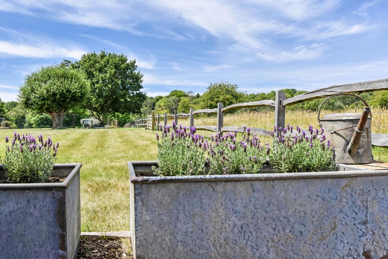 Crabden Shepherd Hut - Blendworth Villa Waterlooville Esterno foto
