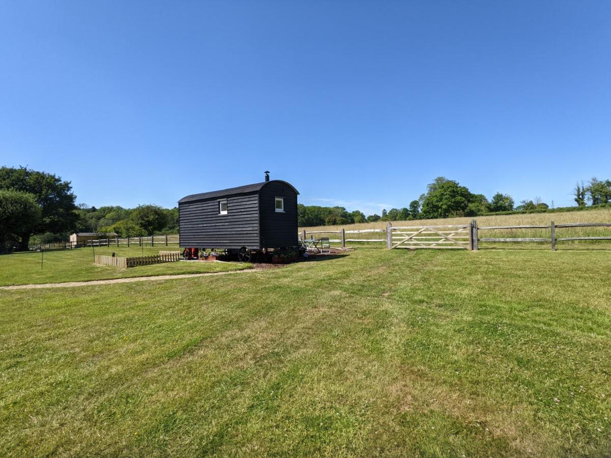 Crabden Shepherd Hut - Blendworth Villa Waterlooville Esterno foto